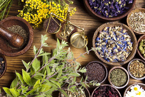 medicinal herbal plants